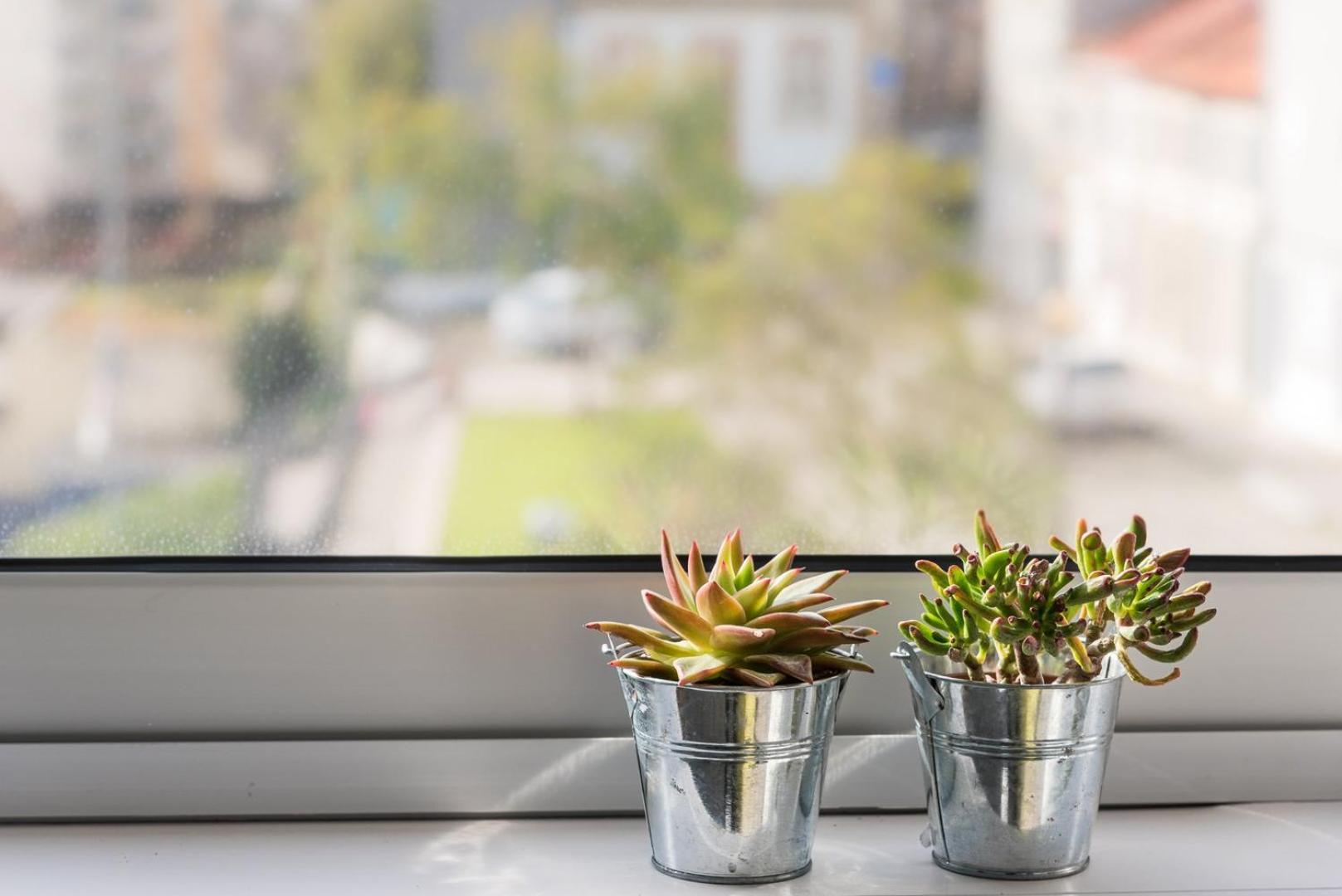 Apartmán Guestready - Assuntos De Recreio Porto Exteriér fotografie